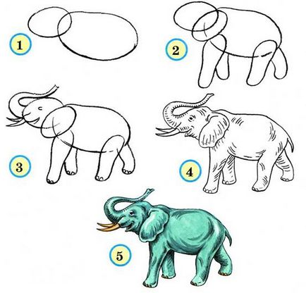 Scheme de tragere a versurilor de vizibilitate a animalelor, lecții de creativitate