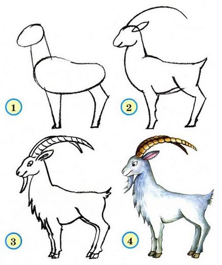 Scheme de tragere a versurilor de vizibilitate a animalelor, lecții de creativitate