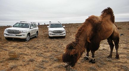 Изпробвайте новата Toyota Land Cruiser 200