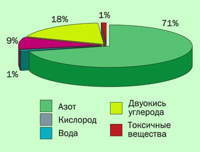 Toxicitatea gazelor de eșapament ale motorului