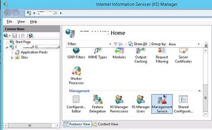 Administrarea de la distanță a iis în Windows Server 2012, ferestre pentru administratorii de sistem