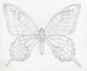 Уроки малювання дадуть відповідь на питання як малювати метелика олівцем і в кольорі, артакадемія курси
