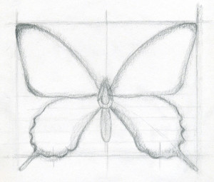 Lecțiile de desen vor răspunde la întrebarea cum să desenezi un fluture în creion și în culori, cursuri de artă academică