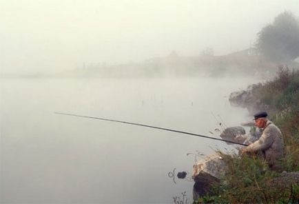 Választott a rúd