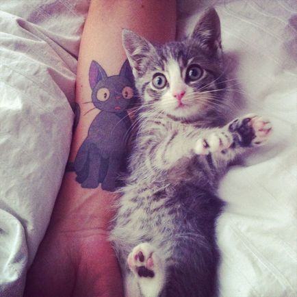 Вираз любові до свого домашній тварині через татуювання з кішкою - татуювання на