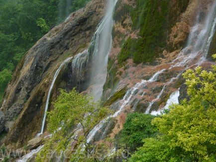 Cascada creasta (coroana regala -)