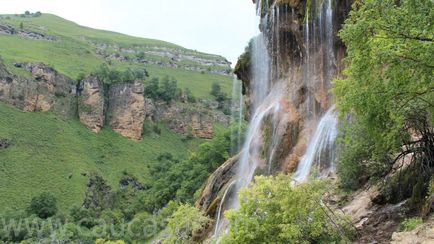 Cascada creasta (coroana regala -)