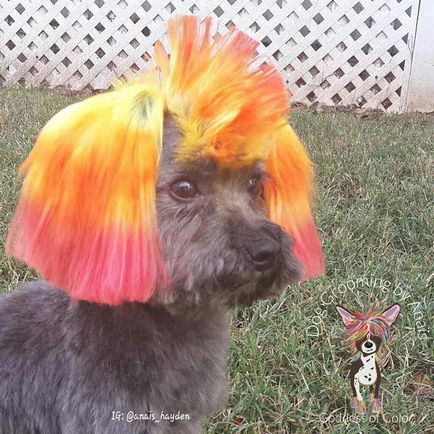 Hair a tűz - új nyári trend, hogy arra kényszeríti, hogy mindenki figyeljen a haját, umkra