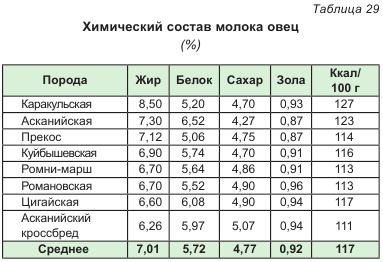 Хімічний склад молока овець - все про тваринництво