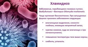 Хламідіоз симптоми, зараження і профілактика, prointimlife