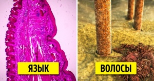 10 хитрощів, які допоможуть створити ідеальні брови