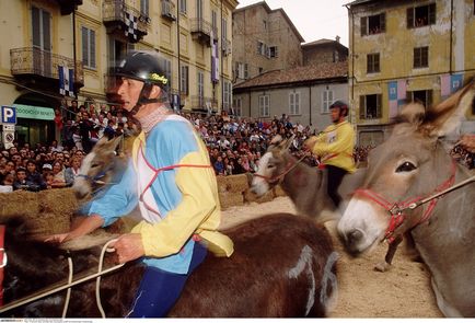 10 Animale care sunt înhățate de un bărbat - știri în fotografii