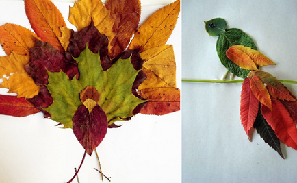 25 ötletek alkalmazások és termék őszi levelek