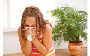 Алергія на пил причини виникнення недуги, діагностування, лікування