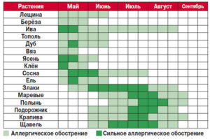 Алергія на пилок трав і дерев - симптоми і лікування