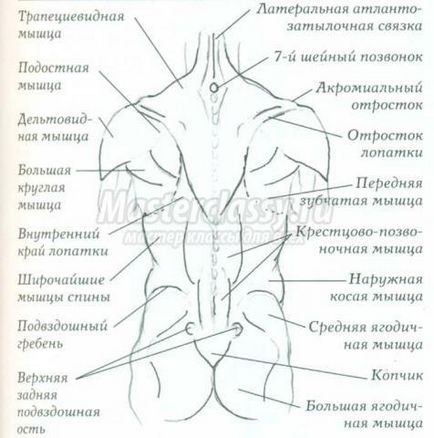 Анатомія з Кеном Голдманом в малюванні