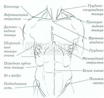 Анатомія з Кеном Голдманом в малюванні
