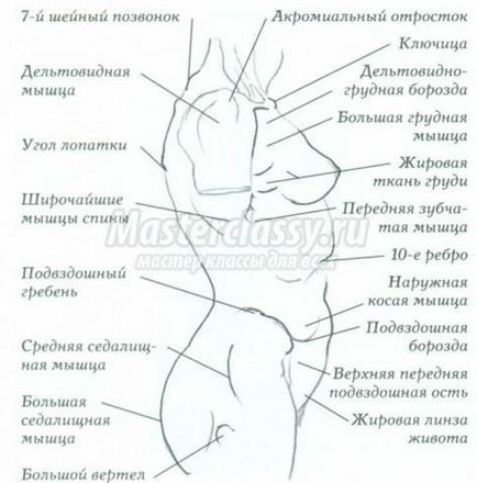 Anatomie cu Ken Goldman în desen