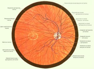 retina angiopátia szem kezelésére, a tünetek