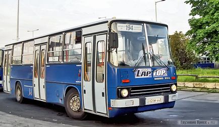 Autobuzele ikarus în partea din față a transportului de pasageri din Ungaria