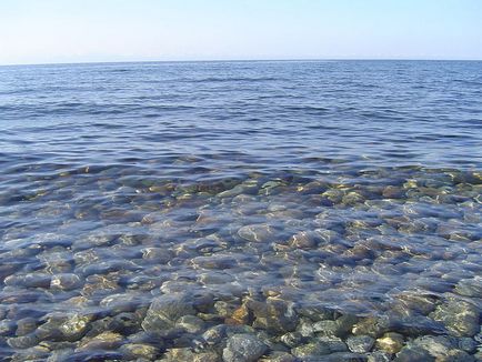 Баргузинский заповідник бурятія