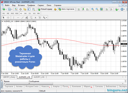 Bináris opciók vagy forex