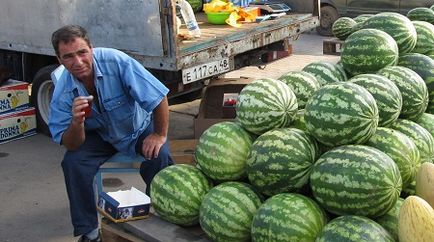 Idee de afaceri pentru cultivarea pepenilor verzi