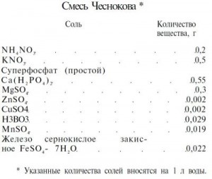 Болотні рослини і гідропоніка