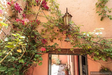 Casa Mexicana éltünk egy mexikói haza - blog sheboldasik turista