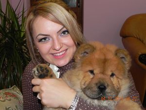 Chow-chow - caracteristicile rasei