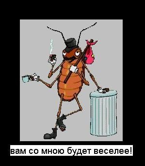 Mit tud - fű - csótányok a fejemben (ez lehetséges) Mit tud - fű - csótányok a fejemben