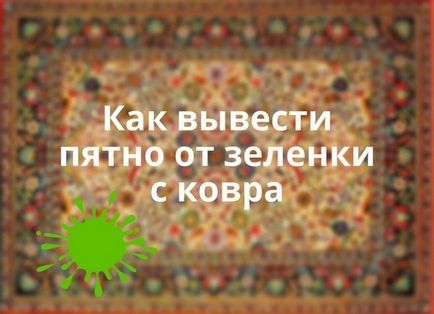 A Zelenka húzhatnak a Palais (takarítás) Mi lehet következtetni Zelenka a Palacio