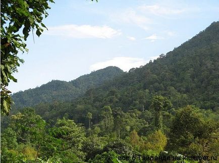 Ce să facă pe excursii Koh Chang la Koh Chang, odihnindu-se pe Insula Koh Chang