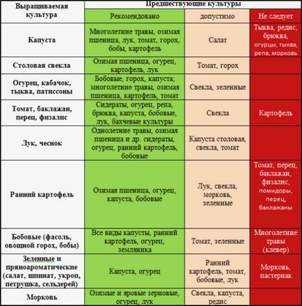 Що садити після часнику на наступний рік які овочі і ягоди