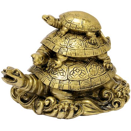 Ceea ce simbolizează broasca țestoasă în feng shui, studioul casei