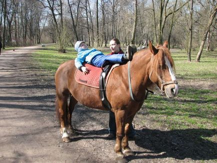 Pentru un copil cu dtsp - un cal și pentru un autism