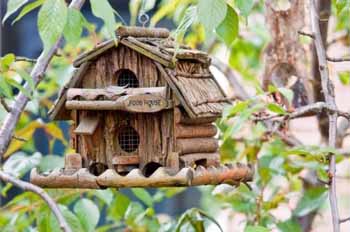 Будиночок для синиць - тварини і птахи