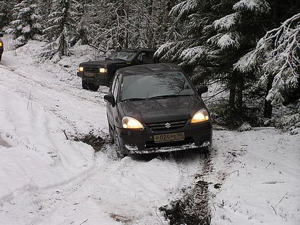 Переваги та недоліки ліани (інформація для вибирають ліану) - форум всеукраїнського клубу