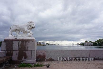 Látnivalók St. Petersburg Elagin sziget - élőben utazás