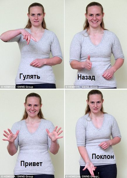 Képzés egy süket kutya - kutyák hasznos cikkek, cikkek, képek (kutya) Képzés egy süket kutya - kutyák hasznos cikkek, cikk, képek