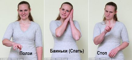 Képzés egy süket kutya - kutyák hasznos cikkek, cikkek, képek (kutya) Képzés egy süket kutya - kutyák hasznos cikkek, cikk, képek