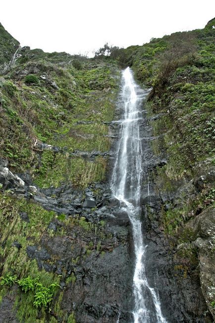 Să mergem Madeira (Portugalia)