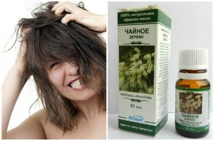 Ефірні масла для волосся-властивості, види та застосування