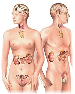 Endocrinologie - centru medical de sănătate