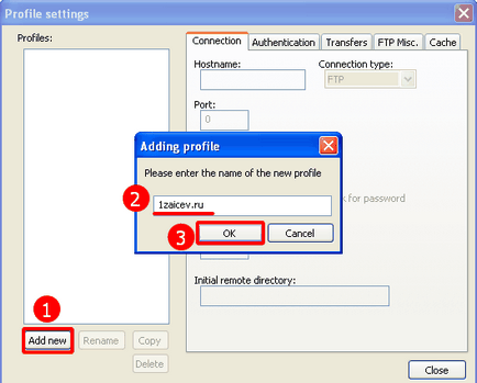 Accesul FTP la fișierele site-ului din editorul Notepad