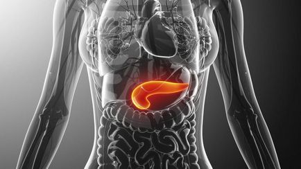 Funcțiile pancreasului sunt digestive, endocrine, exocrine, umorale, secretorii,