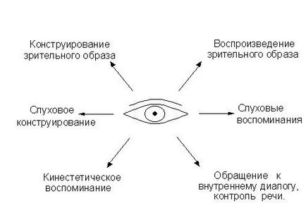 Modele oculomotor