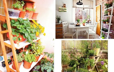Idei pentru o grădină mică de bucătărie într-o bucătărie sau pervaz