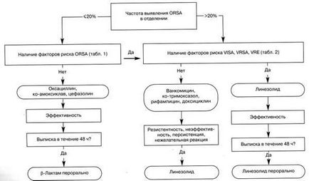 Infecții și terapie antimicrobiană