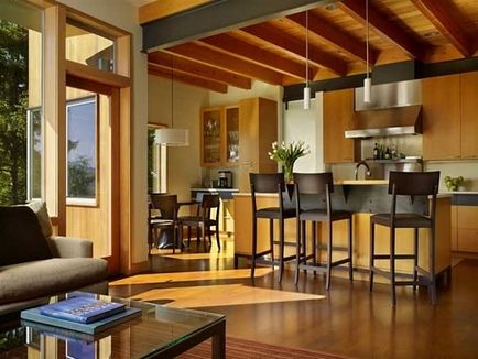 Interiorul camerei de zi într-o casă privată - reguli și caracteristici, fotografii, opțiuni de design pentru camera de zi și bucătărie,